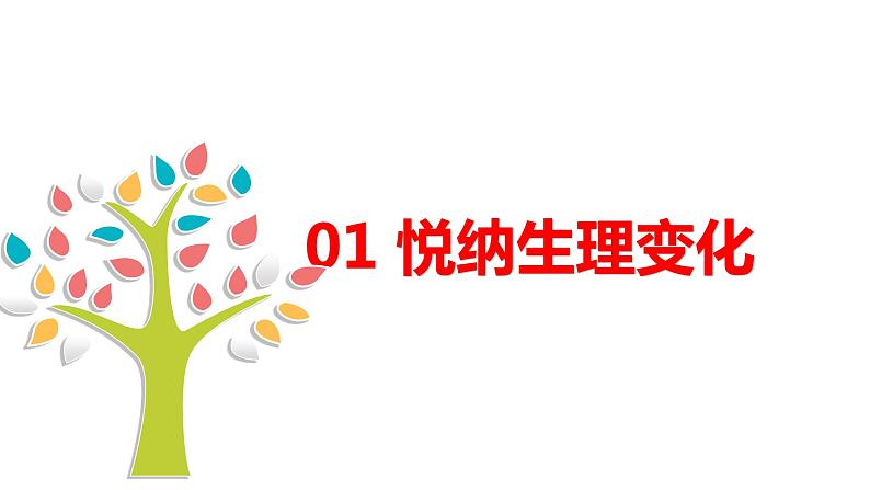 1.1  悄悄变化的我 课件 ----2023-2024学年统编版道德与法治七年级下册04