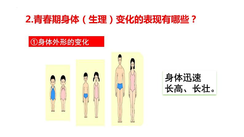 1.1 悄悄变化的我  课件  2023-2024学年统编版道德与法治七年级下第8页