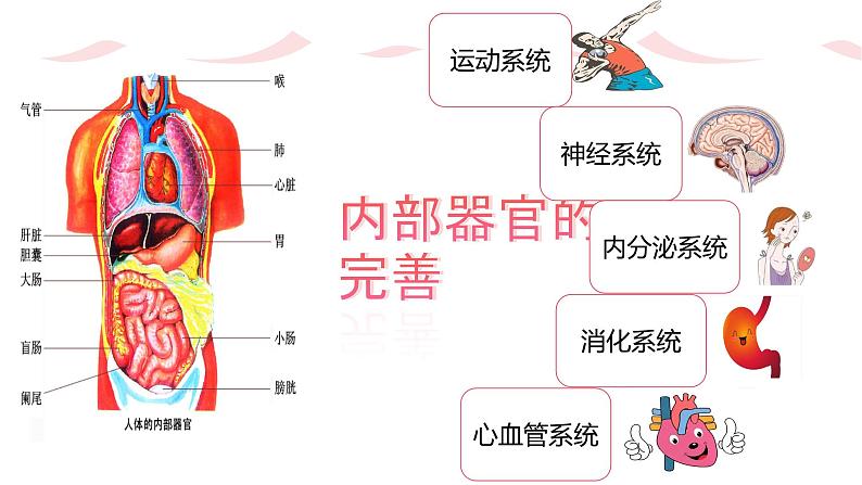 1.1 悄悄变化的我  课件——2023-2024学年统编版道德与法治七年级下册第6页