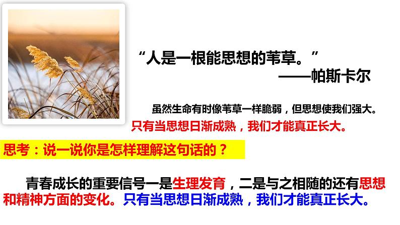 1.2 成长的不仅仅是身体  课件 ----2023-2024学年统编版道德与法治七年级下册第1页