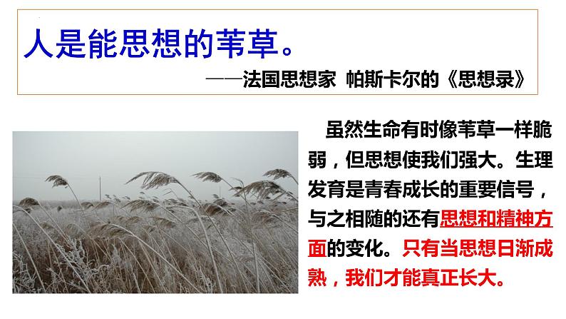 1.2 成长的不仅仅是身体 课件  ---2023-2024学年统编版道德与法治七年级下第2页