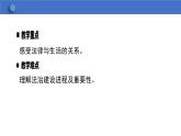 9.1 生活需要法律  学案课件  2023-2024学年初中道德与法治统编版七年级下册