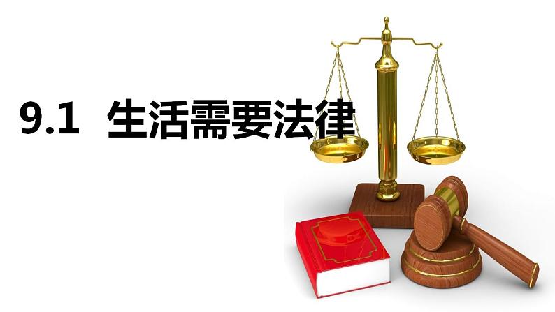 9.1生活需要法律 课件 ----2023-2024学年统编版道德与法治七年级下册02