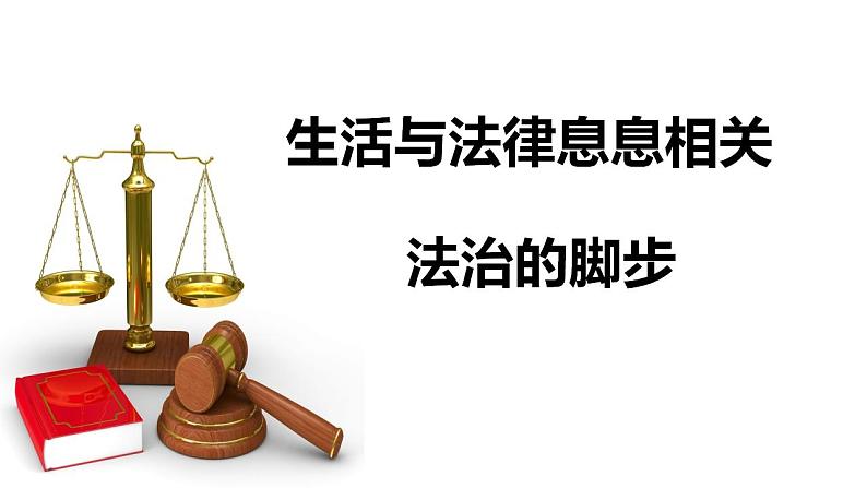 9.1生活需要法律 课件 ----2023-2024学年统编版道德与法治七年级下册03