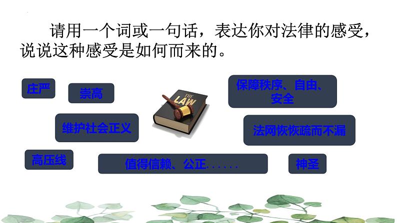 9.2 法律保障生活 课件 --2023-2024学年统编版道德与法治七年级下册第3页