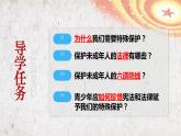 10.1 法律为我们护航 课件  -2023-2024学年统编版道德与法治七年级下册