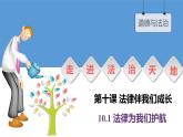 10.1 法律为我们护航 课件 ----2023-2024学年统编版道德与法治七年级下册
