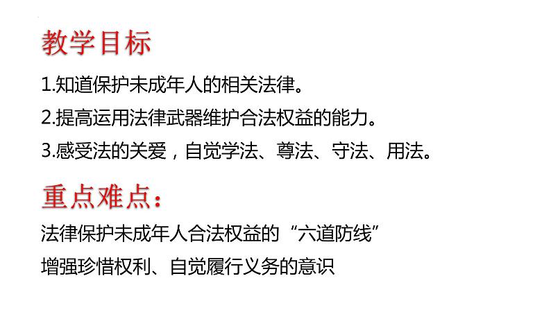 10.1 法律为我们护航 课件 ----2023-2024学年统编版道德与法治七年级下册第2页