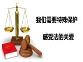 10.1法律为我们护航教学课件 ---2023-2024学年统编版道德与法治七年级下册