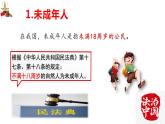 10.1法律为我们护航教学课件 ---2023-2024学年统编版道德与法治七年级下册