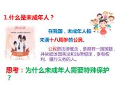 10.1法律为我们护航课件 -2023-2024学年统编版道德与法治七年级下册