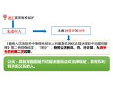 10.1法律为我们护航课件 -2023-2024学年统编版道德与法治七年级下册