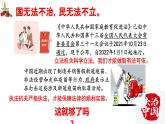 10.2我们与法律同行 教学课件 ----2023-2024学年统编版道德与法治七年级下册