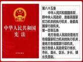 6.3国家行政机关 同步课件-2023-2024学年八年级道德与法治下册 （部编版） (2)