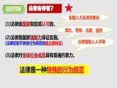 10.1 法律为我们护航 课件  2023-2024学年七年级道德与法治下册 （统编版） (2)