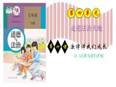 10.1法律为我们护航 课件  2023-2024学年七年级道德与法治下册 （统编版）