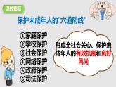 10.2 我们与法律同行 课件-2024年七年级道德与法治下册