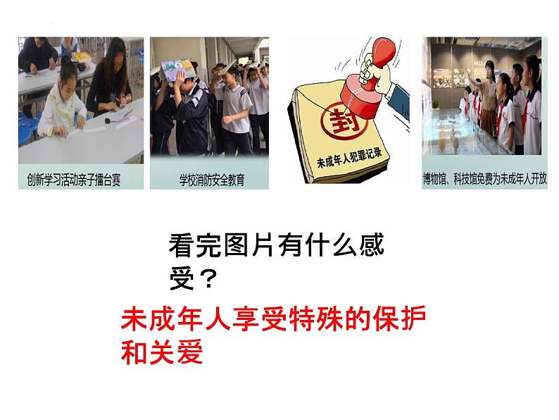 10.1+法律为我们护航+课件-2023-2024学年统编版七年级道德与法治下册第3页
