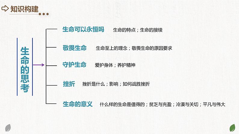 专题19 生命的思考（核心知识精讲课件）-2024年中考道德与法治一轮复习课件（含练习）（全国通用）04