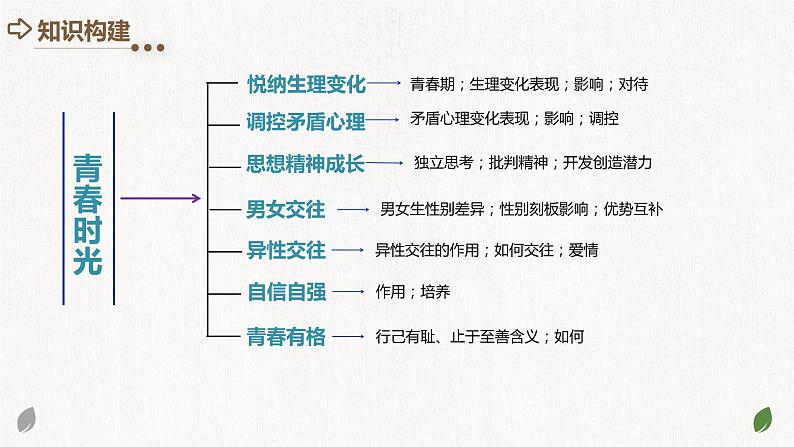 专题20 青春时光（核心知识精讲课件）第4页