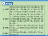 10.1 法律为我们护航 课件-2023-2024学年七年级道德与法治下册