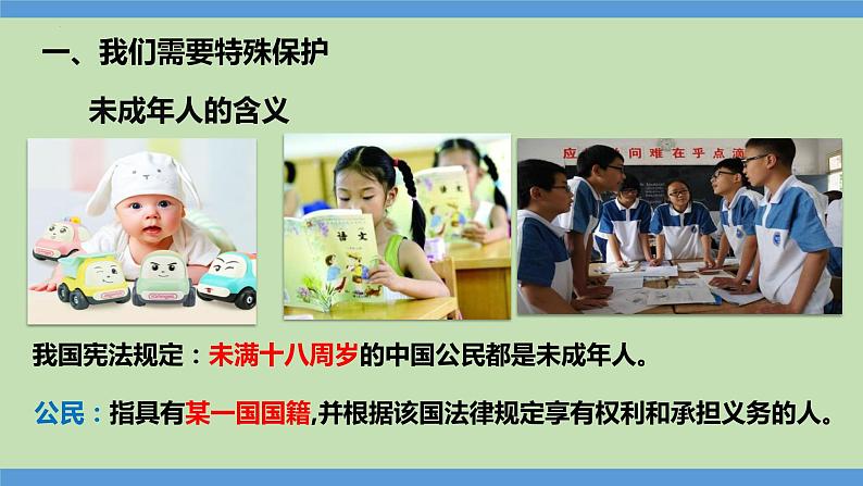 10.1 法律为我们护航 课件-2023-2024学年七年级道德与法治下册第5页