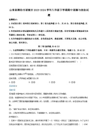 山东省潍坊市诸城市2023-2024学年八年级下学期期中道德与法治试题