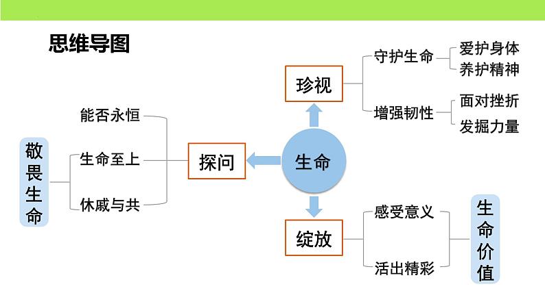 第四单元 生命的思考（复习课）-中考道德与法治一轮复习课件（统编版）第3页