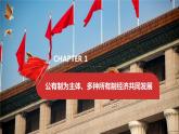 5.3 基本经济制度  课件-2023-2024学年八年级道德与法治下册