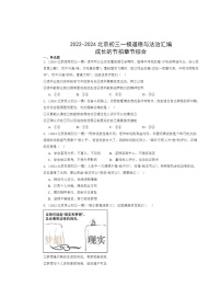 2022-2024北京初三一模道德与法治试题分类汇编：成长的节拍章节综合