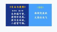 初中政治 (道德与法治)人教部编版八年级下册自由平等的真谛说课ppt课件