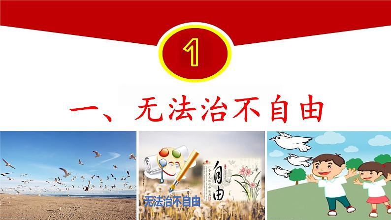 7.1自由平等的真谛（同步课件）2023-2024学年八年级道德与法治下册 （统编版） (2)04