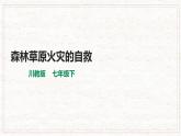 七年級(jí)下第五課《森林草原火災(zāi)的自救》課件