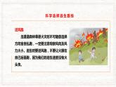 七年級(jí)下第五課《森林草原火災(zāi)的自救》課件