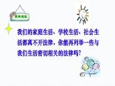 9.1 生活需要法律  课件-2023-2024学年七年级下册