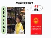 9.1 生活需要法律  课件-2023-2024学年七年级下册
