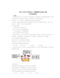 2022～2024北京初三一模道德与法治试题分类汇编：少年的担当