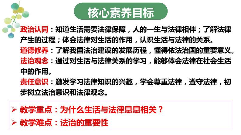 9.1  生活需要法律（课件）-七年级下册道德与法治 （统编版）第3页