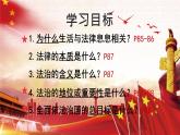 9.1 生活需要法律 （课件）2023-2024学年七年级道德与法治下（统编版）