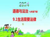 9.1生活需要法律-2023-2024学年七年级道德与法治下册课件（统编版）