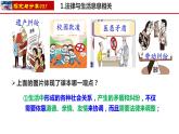 9.1生活需要法律-2023-2024学年七年级道德与法治下册课件（统编版）