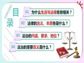 9.1 生活需要法律  课件-2023-2024学年七年级道德与法治下册