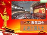 6.1 国家权力机关 课件 -2023-2024学年统编版道德与法治八年级下册