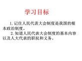 5.1《根本政治制度》课件  初中道德与法治 八年级下册