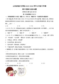 山东省临沂市费县2023-2024学年七年级下学期期中道德与法治试题（原卷版+解析版）