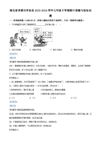 湖北省孝感市孝昌县2023-2024学年七年级下学期期中道德与法治试题（学生版+教师版 ）