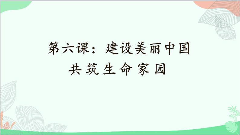 统编版道德与法治九年级上册 6.2 共筑生命家园课件01