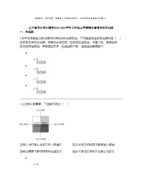 辽宁省丹东市东港市2023-2024学年七年级上学期期末道德与法治试题