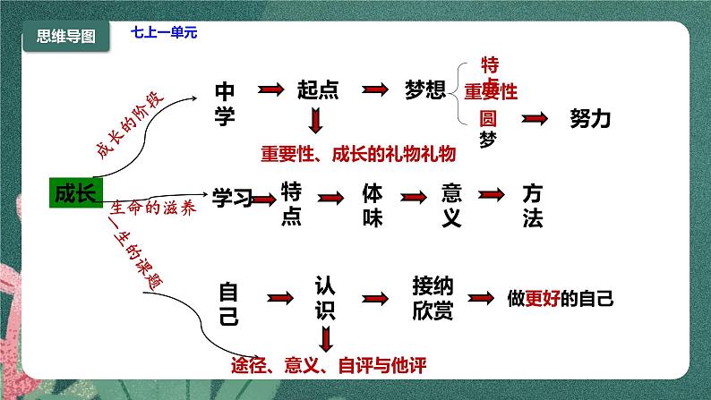 部编版7上道德与法治期末总复习课件04