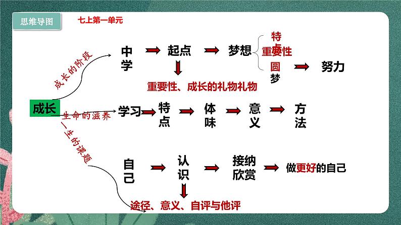 部编版7上道德与法治第一单元《成长的节拍》复习课件03